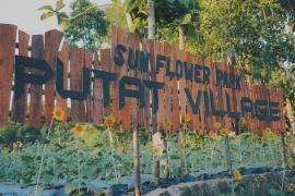 PUTAT VILLAGE SUNFLOWER PARK SIAP SAMBUT LIBUR LEBARAN